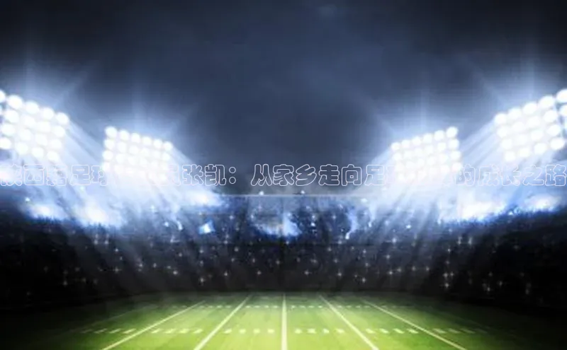 zoty官网网页慧博云通陕西籍足球运动员张凯：从家乡走向足球巅峰的成长之路