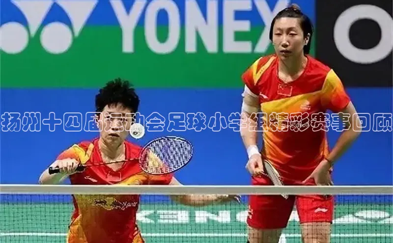 中欧app登录入口手机版百度搜索资源平台扬州十四届运动会足球小学组精彩赛事回顾