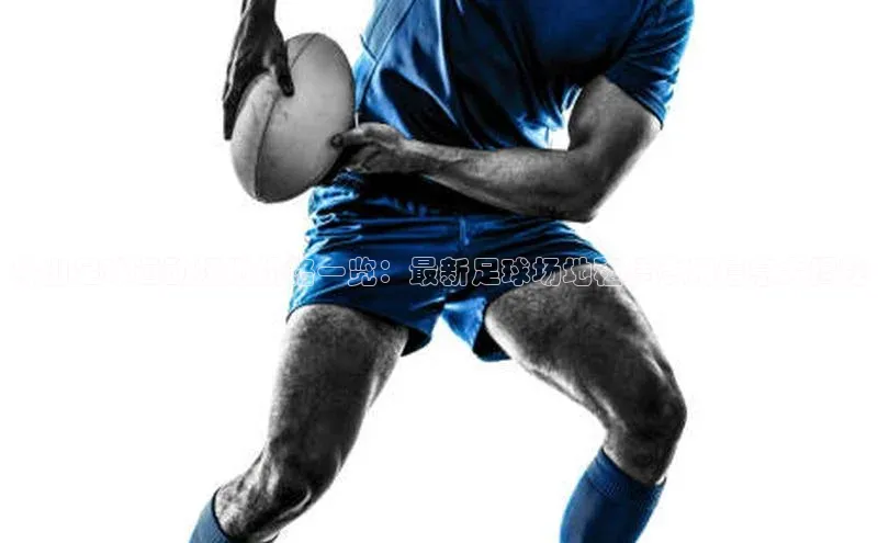 中欧体育官方平台入口神思电子舟山足球运动场地价格一览：最新足球场地租赁费用信息大揭秘