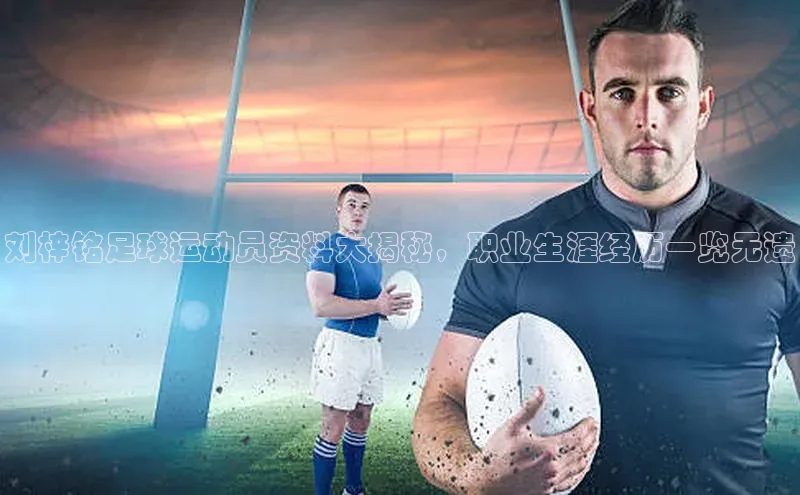 下载中欧体育轻美电器刘梓铭足球运动员资料大揭秘，职业生涯经历一览无遗