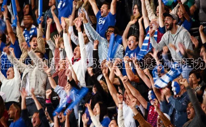 温江区的精彩赛事：运动的魅力与活力