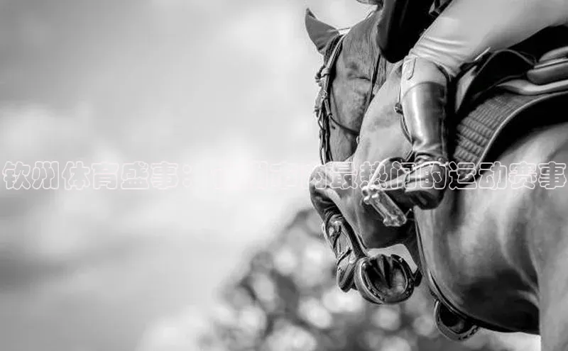 钦州体育盛事：钦州市内最热门的运动赛事