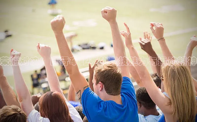 荣耀对决：自行车比赛的竞技魅力与运动精神
