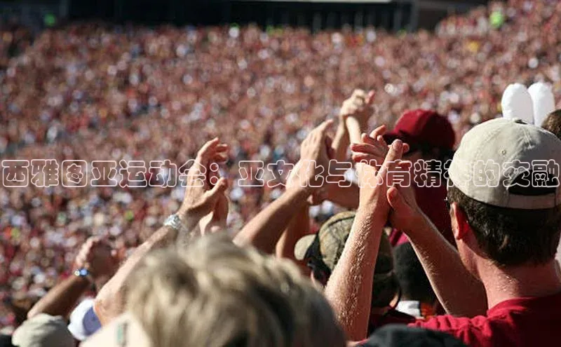 西雅图亚运动会：亚文化与体育精神的交融