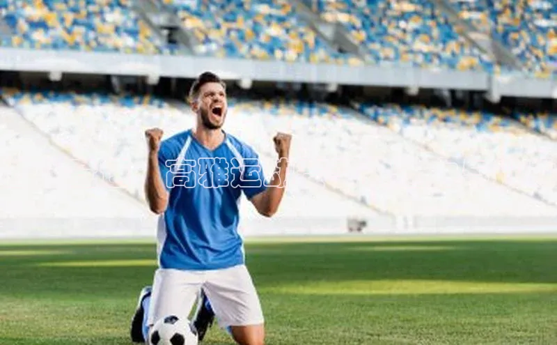 云端竞速：高雅运动赛事的魅力与挑战