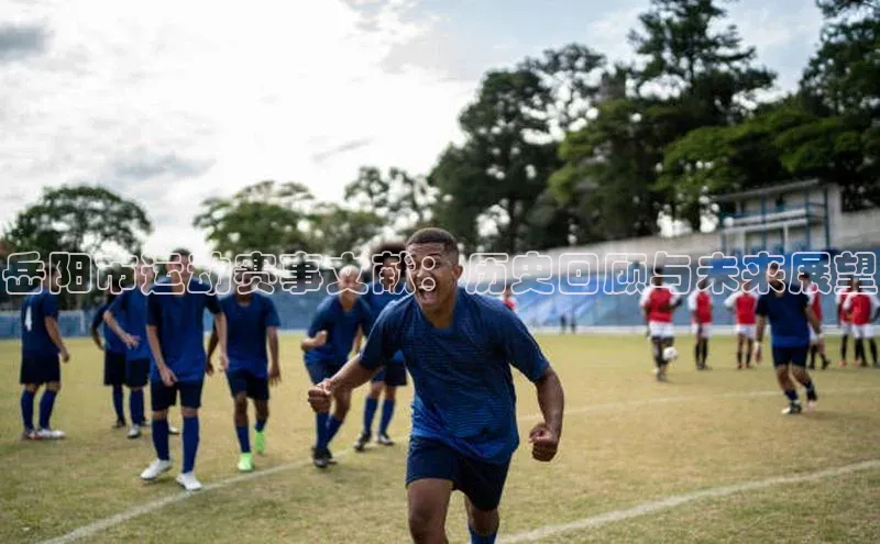 岳阳市运动赛事文献：历史回顾与未来展望