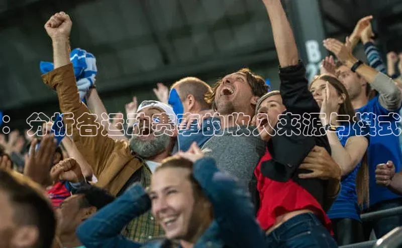 ：分析各运动赛事的收入来源与模式