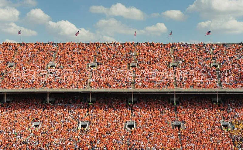 冲突与平衡：现代\'打架\'运动赛事的文化