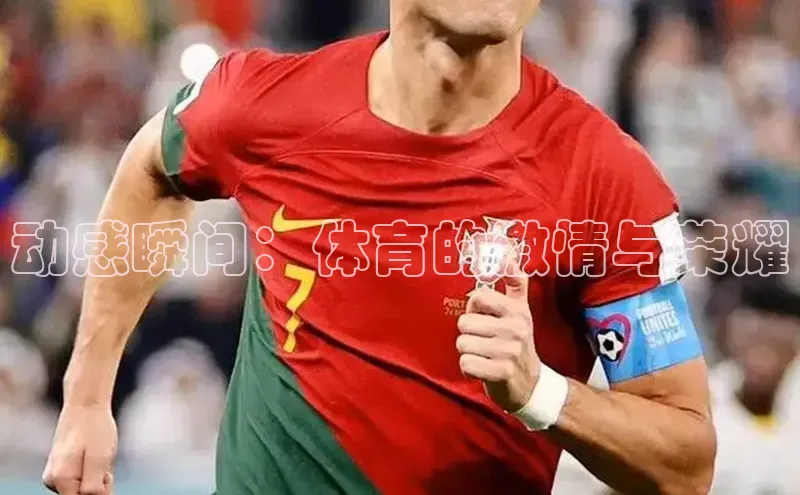 zoty官网登录入口手机版