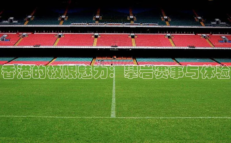 香港的极限魅力：攀岩赛事与体验