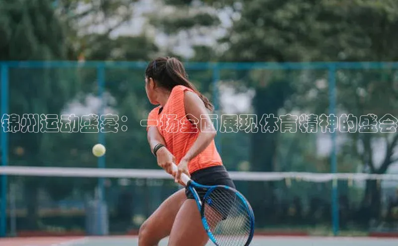 锦州运动盛宴：一场全面展现体育精神的盛会